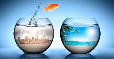 Declaración sobre la Concesión de la Independencia a los Países y Pueblos Coloniales