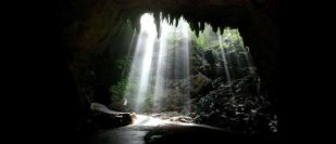 Cavernas del Río Camuy