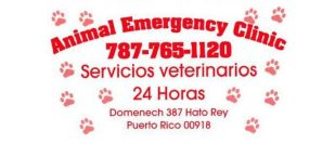 Animal Clinic Emergency 24 Hrs
